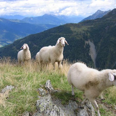 Pension Wilhelmer Sankt Lorenzen im Lesachtal Exteriér fotografie